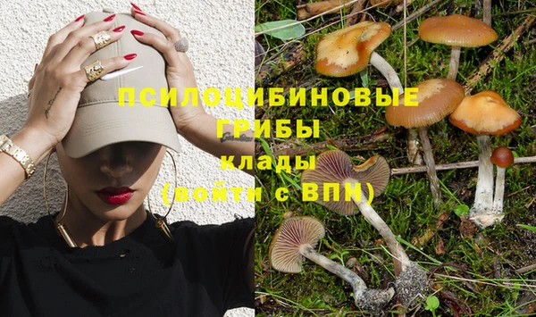 МДПВ Абинск