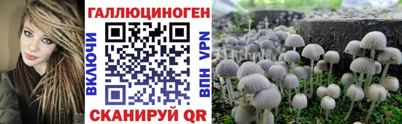 Псилоцибиновые грибы MAGIC MUSHROOMS  Череповец 